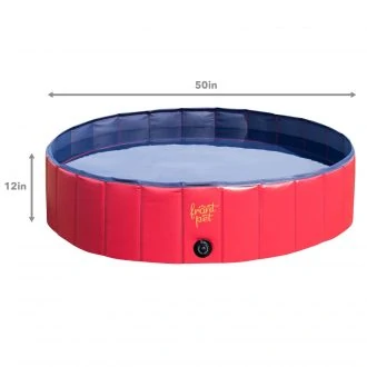 Best Dog Pools 2023 Reviews with Buying Guide