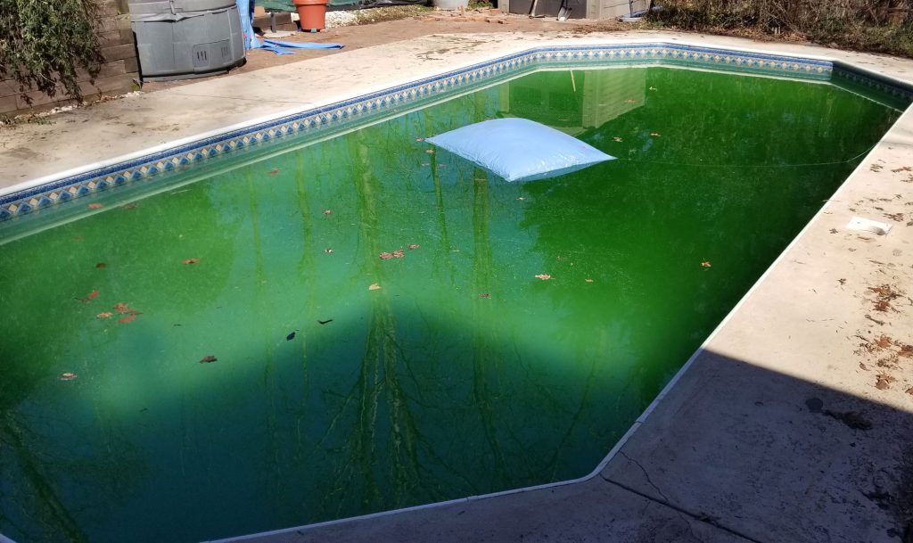 Green Swimming Pool