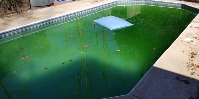 How To Clear Green Water in Your Pool in 2022